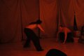 IMG_5164